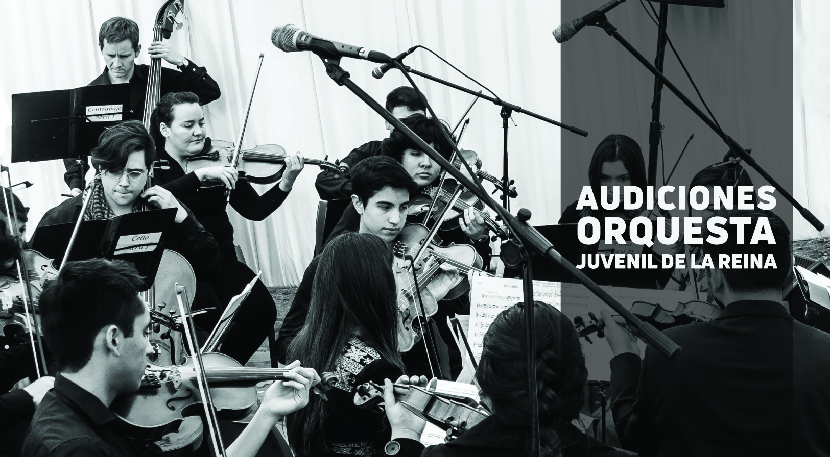 Audiciones Orquesta Juvenil de La Reina 2019