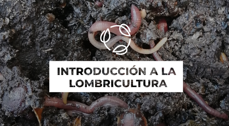 Introducción a la Lombricultura